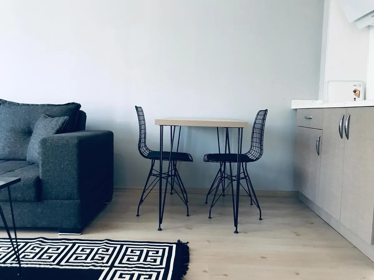 Otto Loft Premium Apartments أنقرة فندق