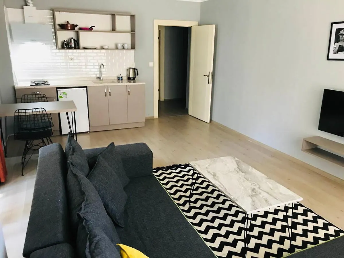 Otto Loft Premium Apartments 安卡拉 酒店