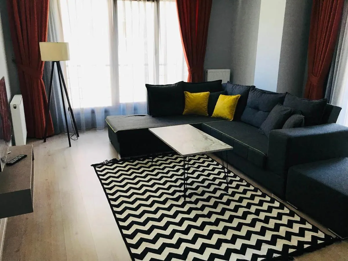 Otto Loft Premium Apartments 安卡拉