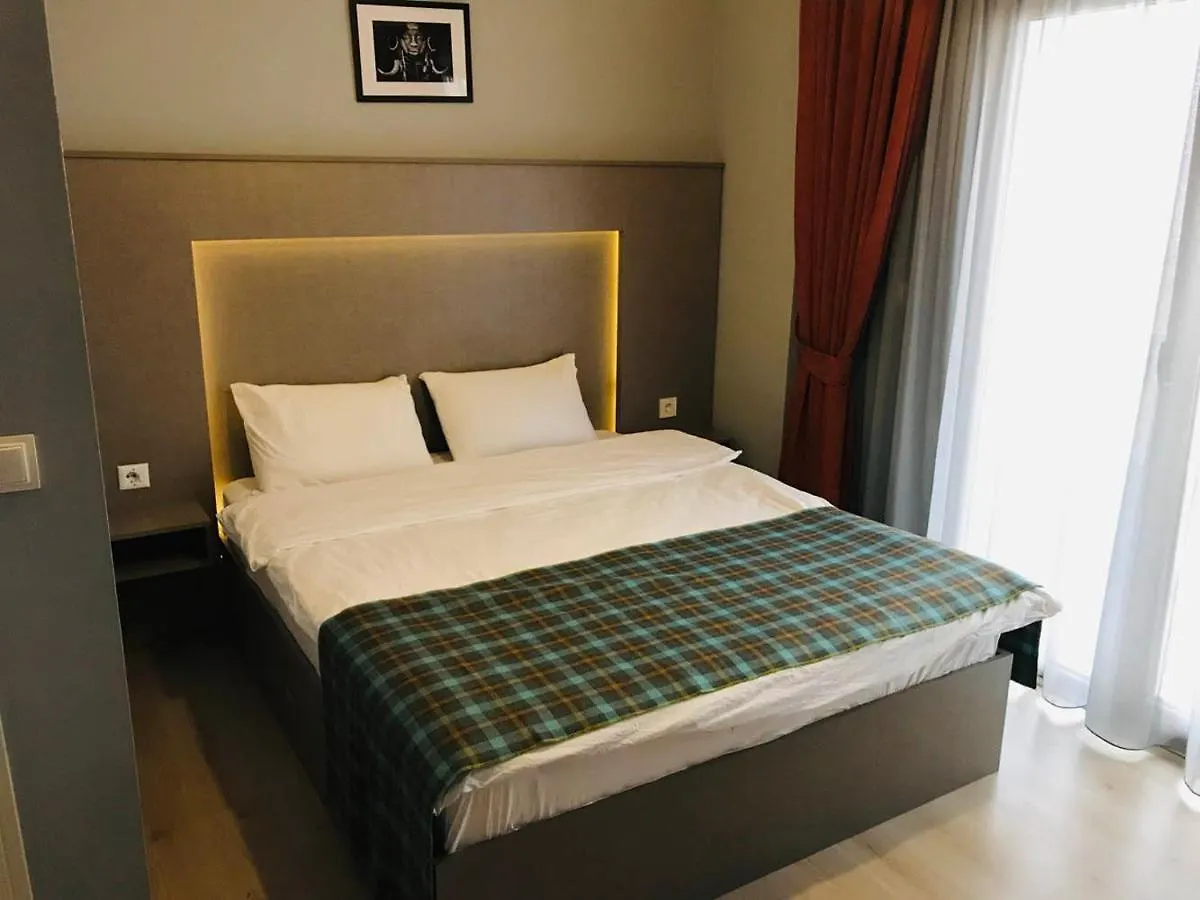 Otto Loft Premium Apartments 安卡拉 3*,