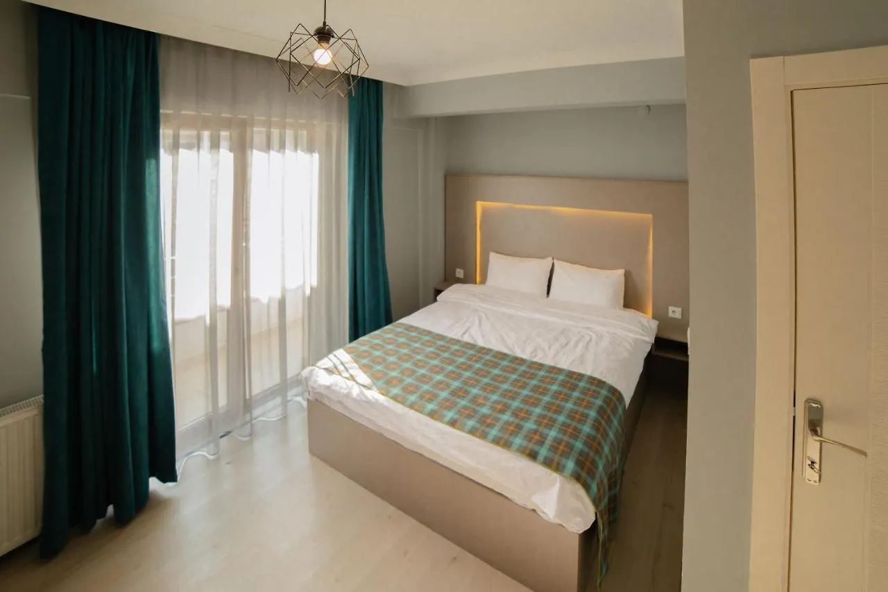 Otto Loft Premium Apartments أنقرة 3*,